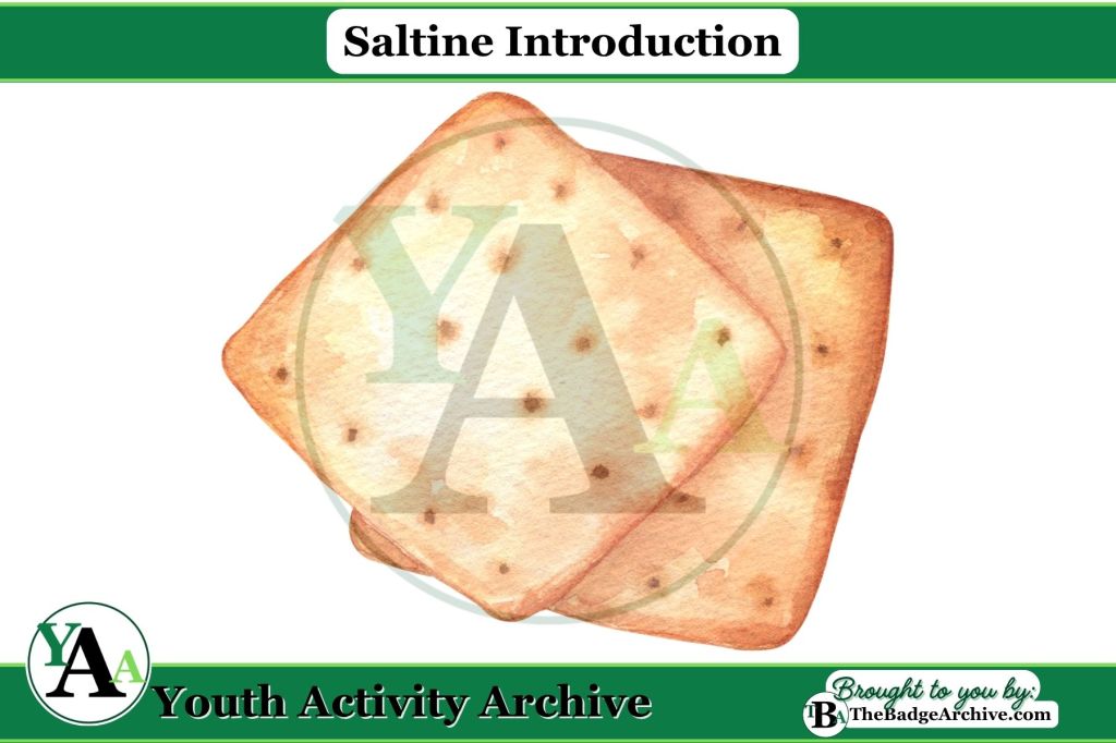 Games – Saltine&nbsp;Introduction