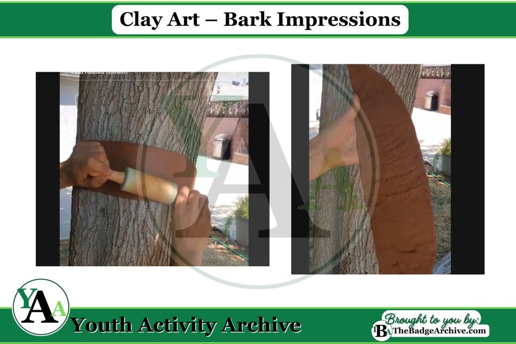 Clay Art – Bark&nbsp;Impressions