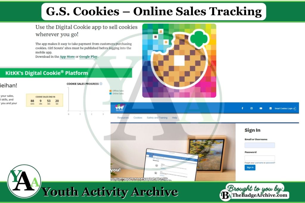 G.S. Cookies – Online Sales&nbsp;Tracking