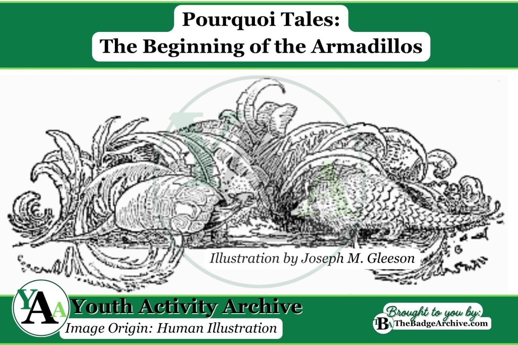 The Beginning of the&nbsp;Armadillos