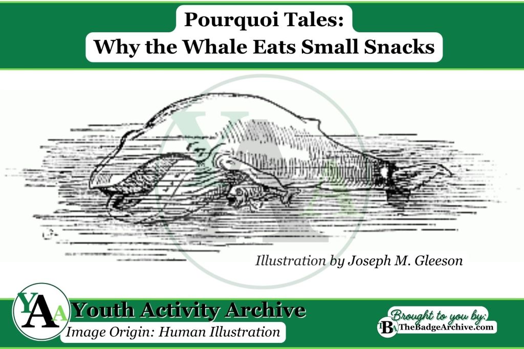 Why the Whale Eats Small&nbsp;Snacks