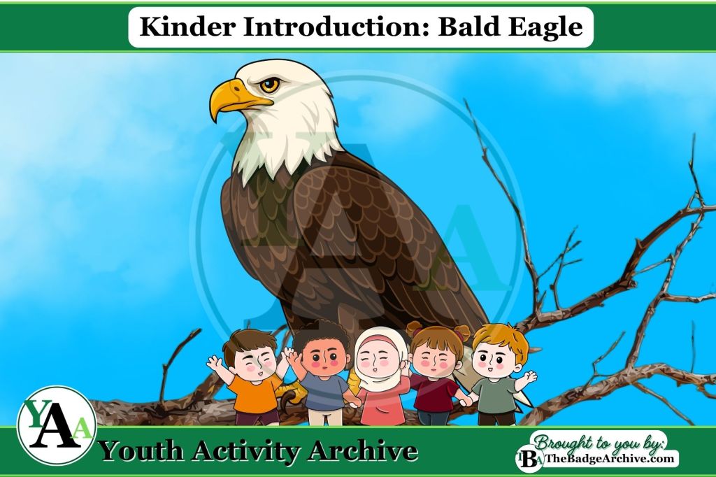 Kinder Introduction: Bald Eagle