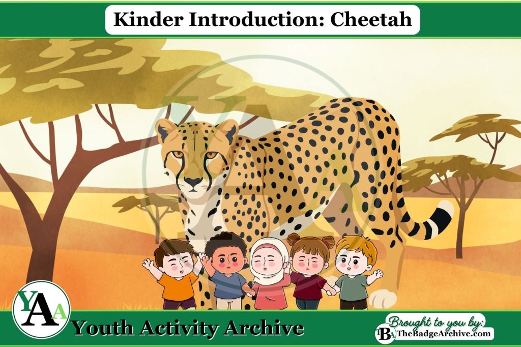 Kinder Introduction: Cheetah