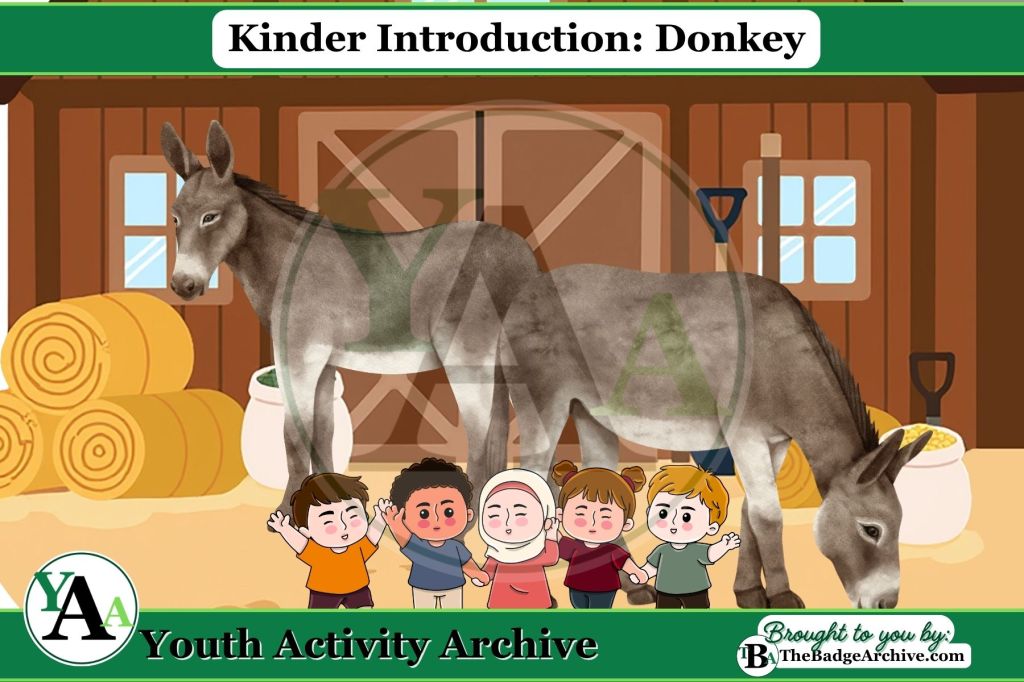 Kinder Introduction: Donkey