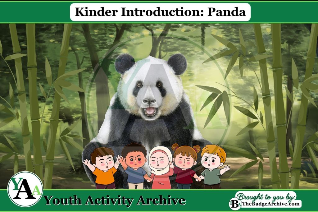 Kinder Introduction: Panda