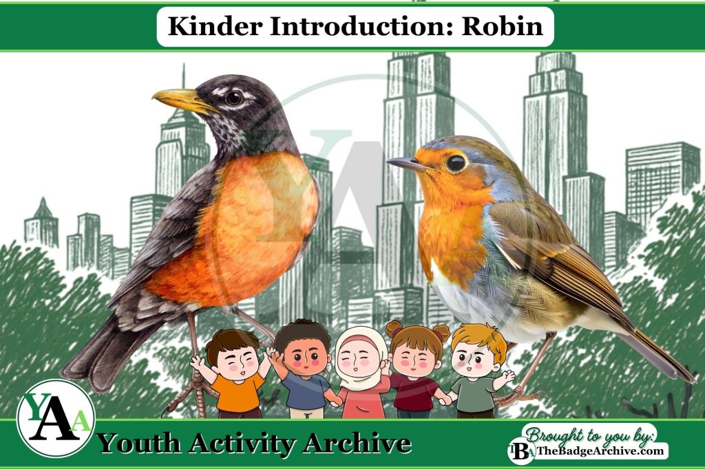 Kinder Introduction: Robin