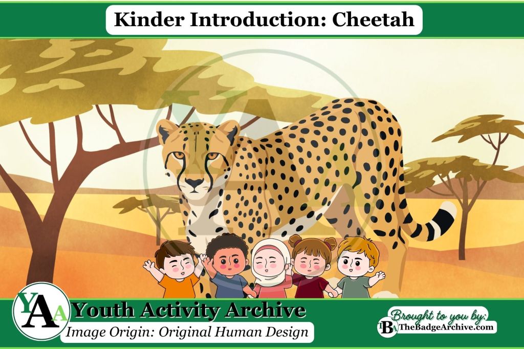Kinder Introduction: Cheetah