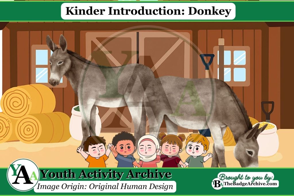 Kinder Introduction: Donkey
