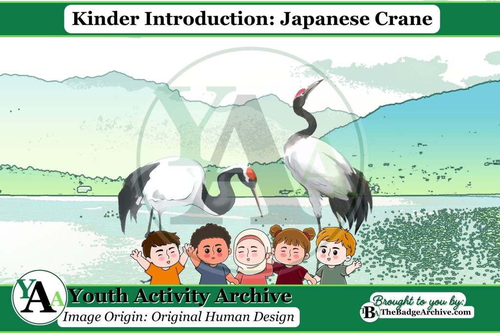 Kinder Introduction: Japanese&nbsp;Crane