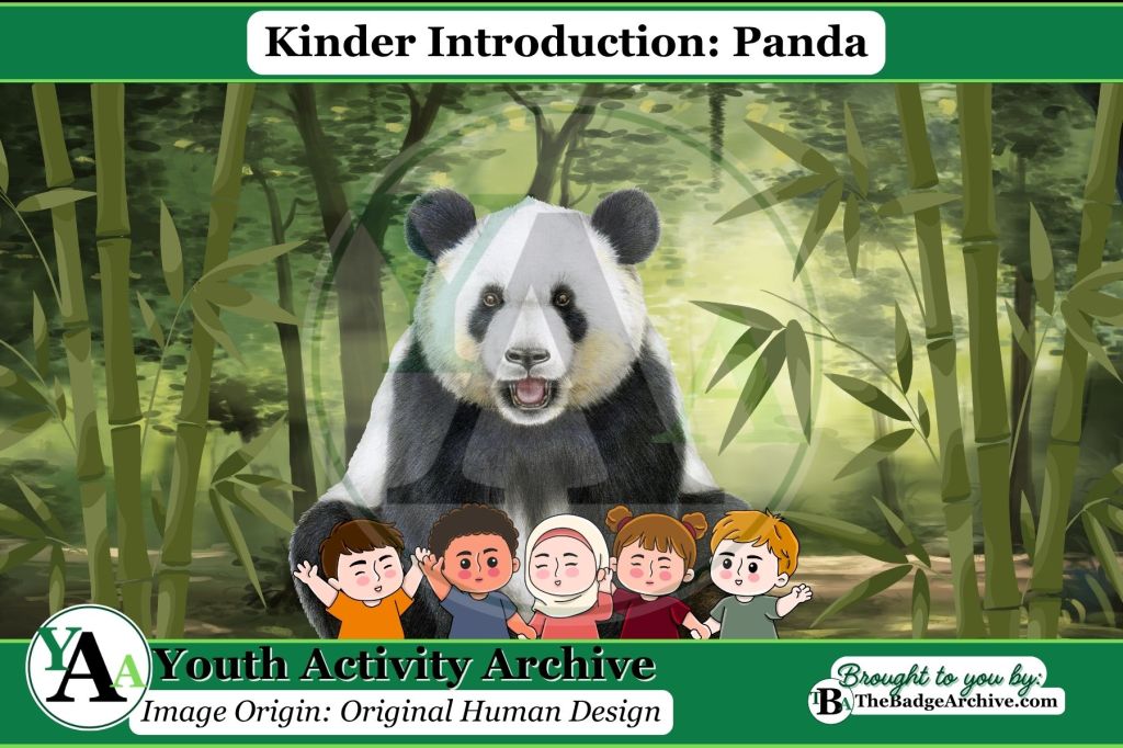 Kinder Introduction: Panda