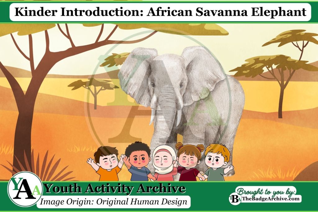 Kinder Introduction: African Savanna&nbsp;Elephant