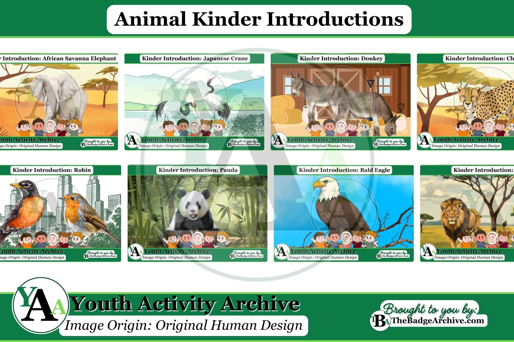 Animal Kinder Introductions
