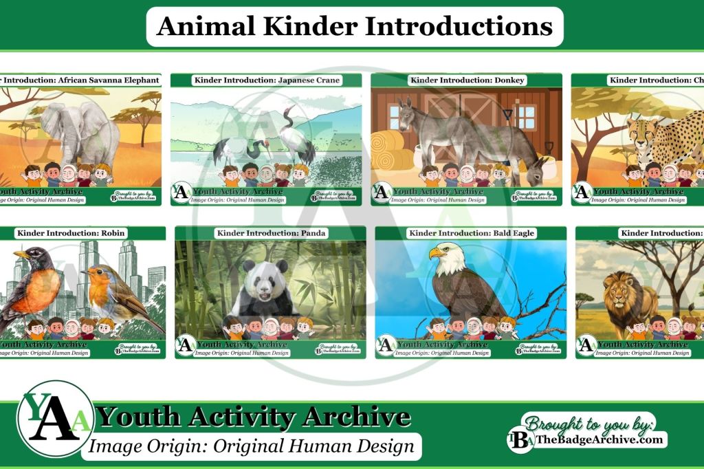 Animal Kinder Introductions