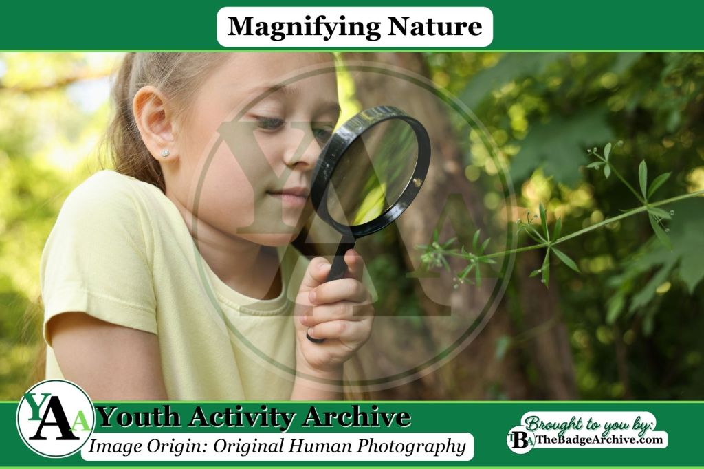 Magnifying Nature
